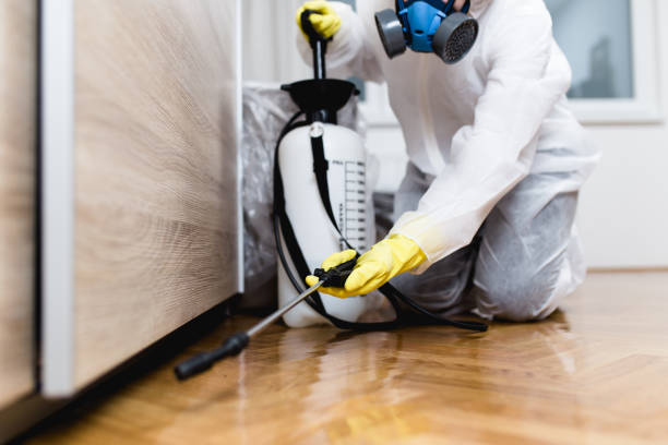 Best Cockroach Control Services  in Devola, OH
