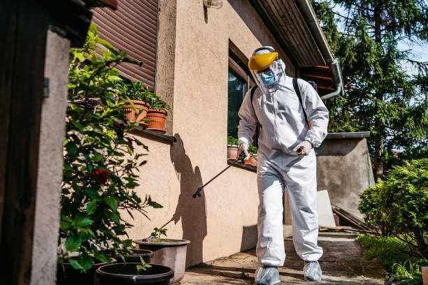 Best Residential Pest Control  in Devola, OH