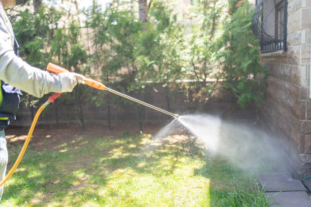Best Pest Removal Services  in Devola, OH