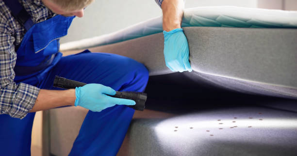 Best Best Pest Control Companies  in Devola, OH
